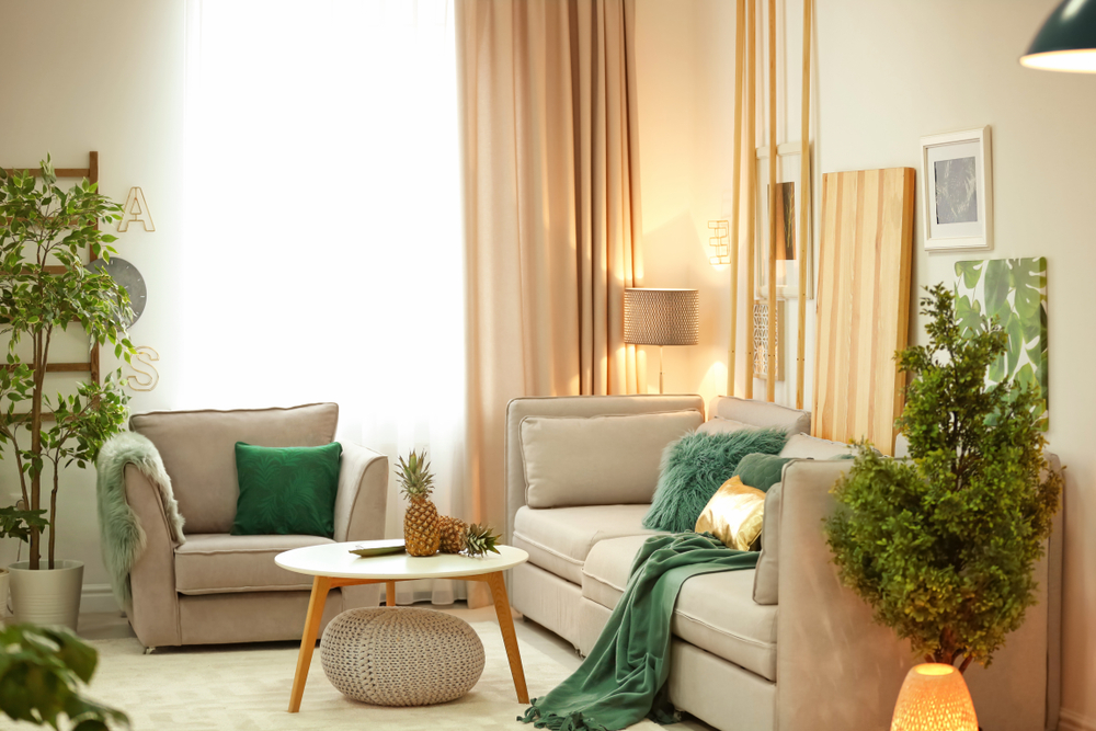 Cozy Living Room Features Comfortable Sofa